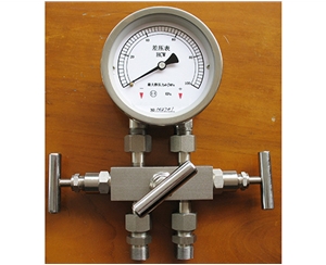宁波差压表带三阀组